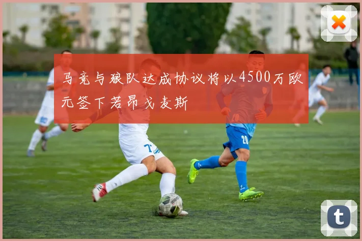 马竞与狼队达成协议将以4500万欧元签下若昂戈麦斯